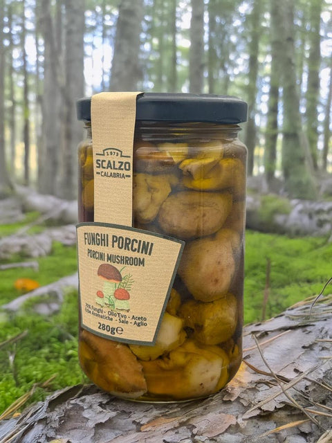 Porcini Mushrooms in Oil