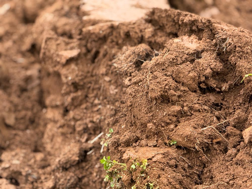 L'aratura e l'avvio della nuova stagione agricola di montagna