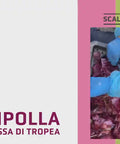 Video della lavorazione dei filetti di cipolla igp Tropea